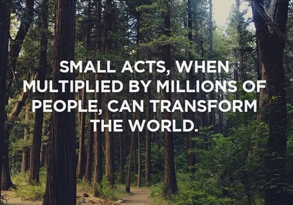 smallacts