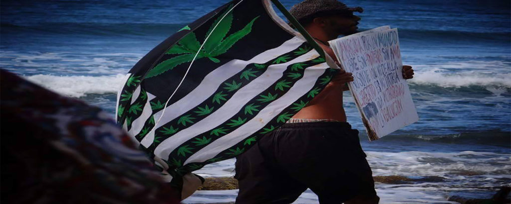 6 Reasons Why I Walked Around With A Cannabis Flag In The Beaches Of Puerto Rico