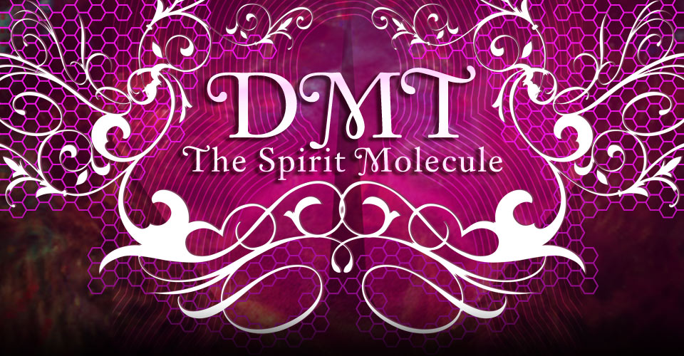 dmt the spirit molecule