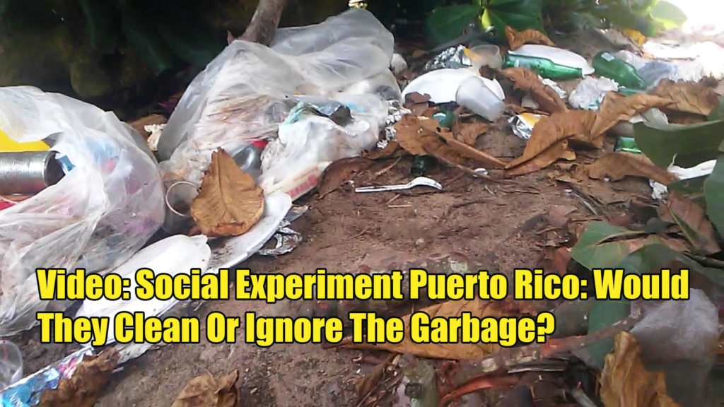 social experiment puerto rico