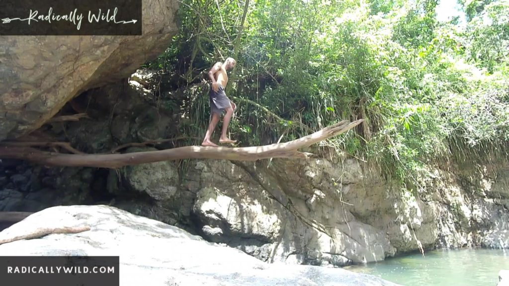 barefoot tree plank river puerto rico