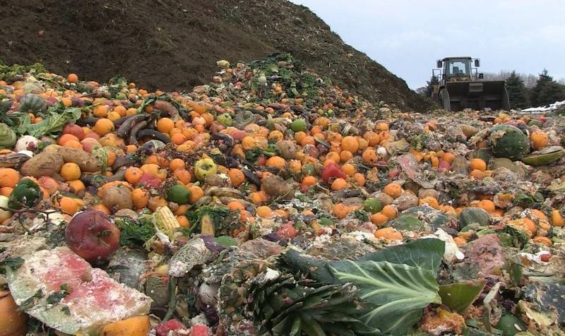 Ideas: Iniciativa local de recolección de residuos vegetales para el compostaje en Puerto Rico