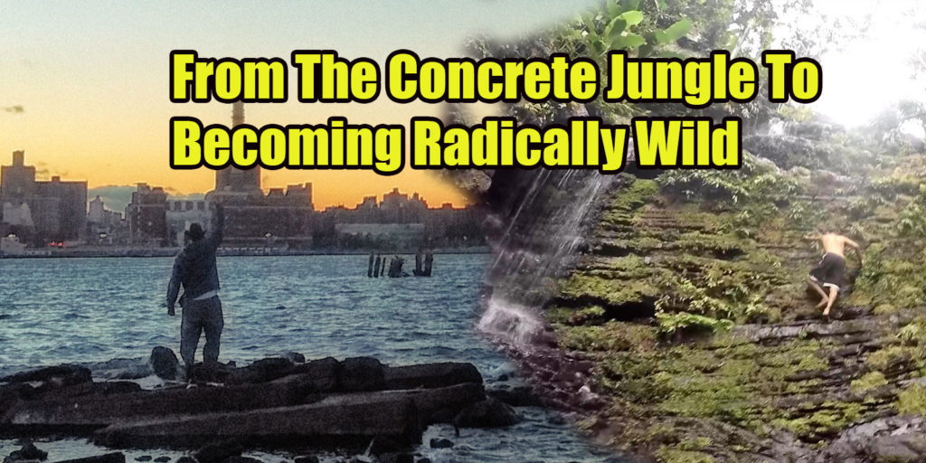 from the conrete jungle to becoming radically wild