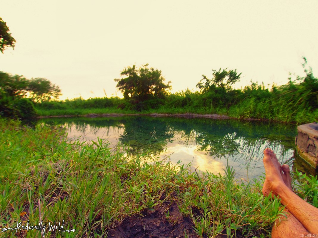 barefoot  nature pond