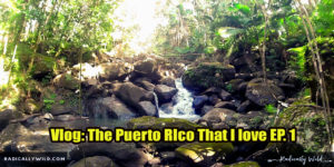 This is the puerto rico that I love