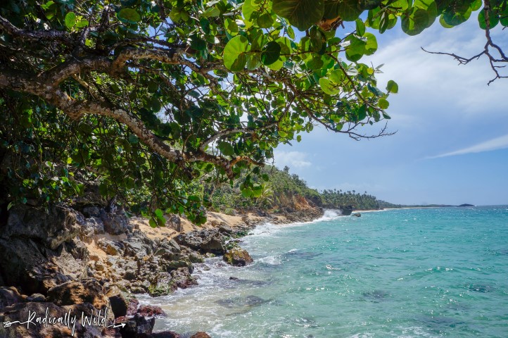 Puerto Rico is paradise Photography nlue watered beaches