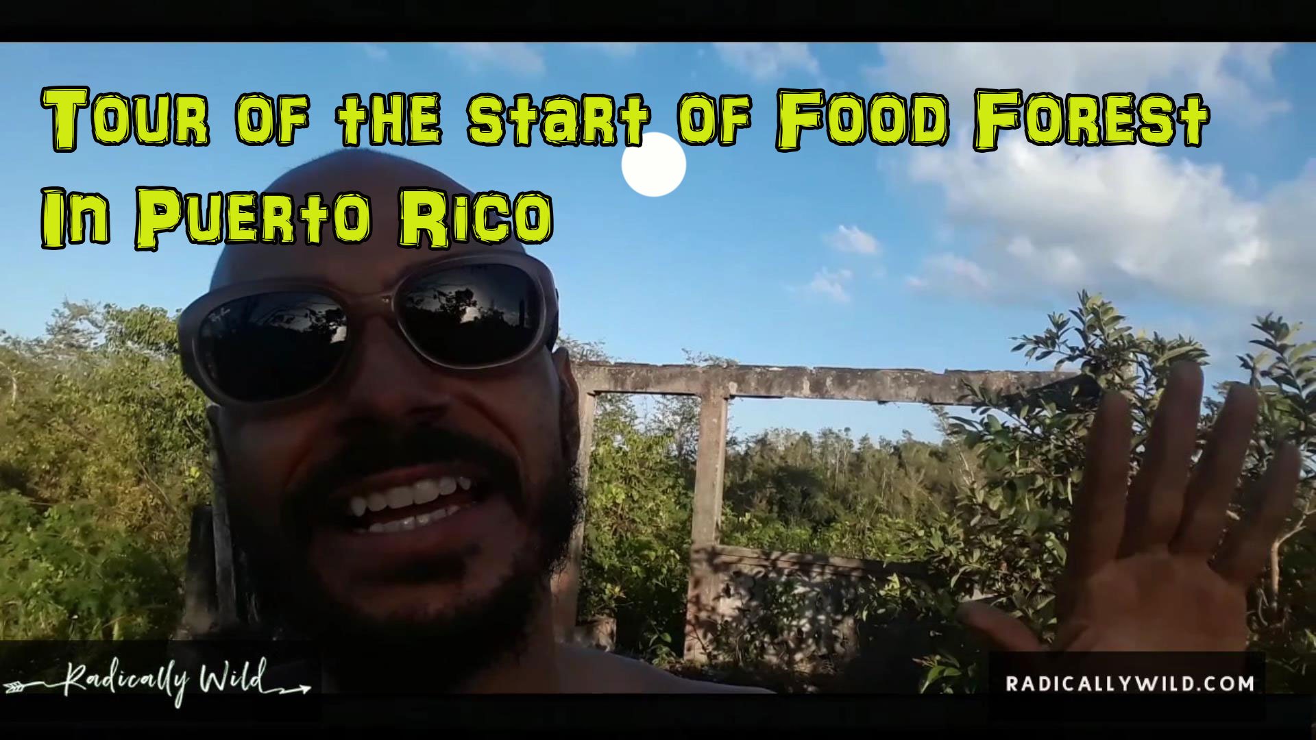 food forest puerto rico