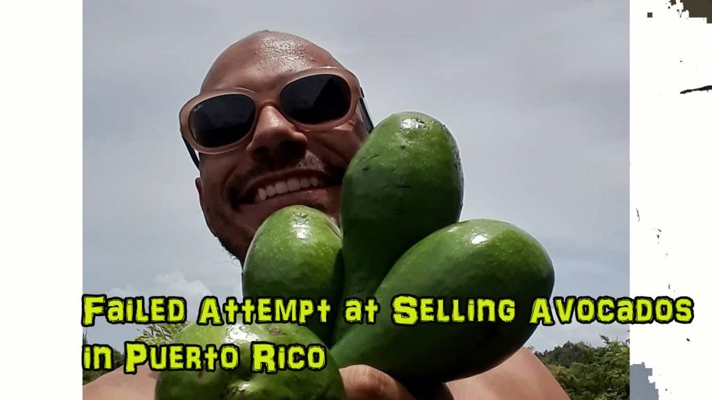 selling avocados