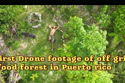 Drone Puerto Rico food forest jungle