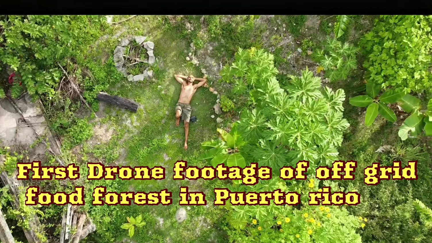 Drone Puerto Rico food forest jungle