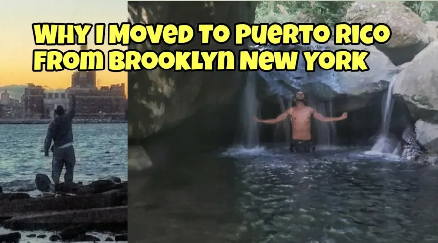 from brooklyn to puerto rico