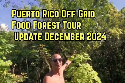 off grid puerto rico food forest