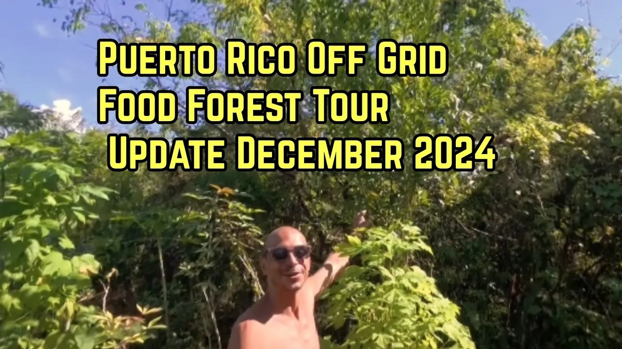 off grid puerto rico food forest