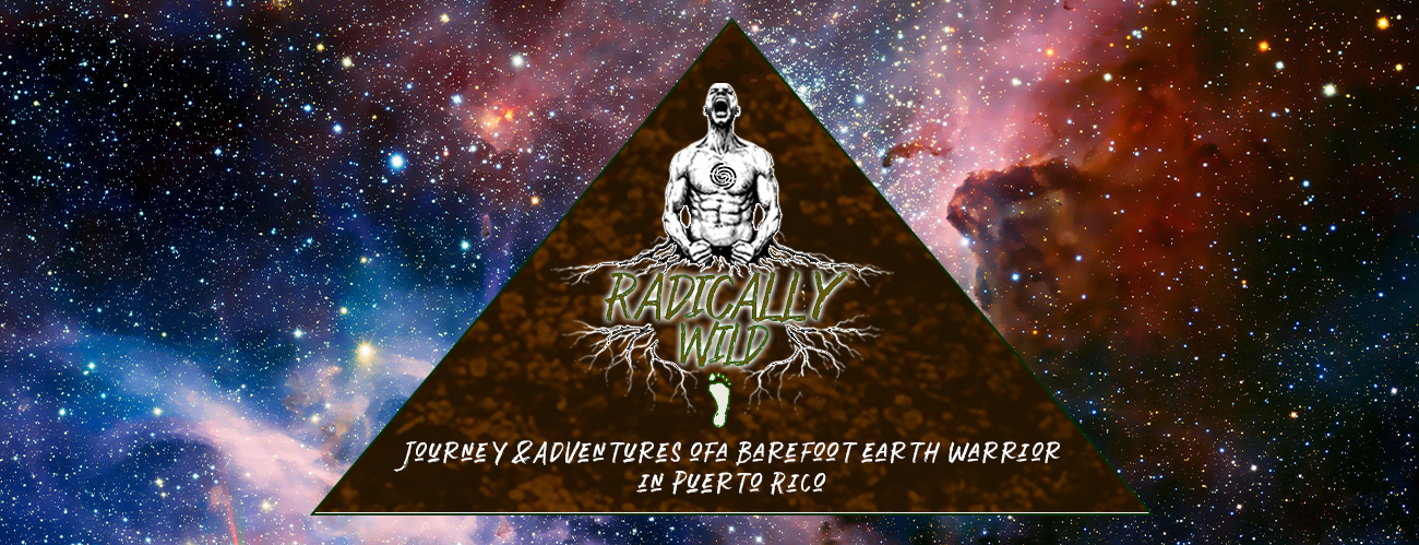 The journey and adventures of a barefoot earthwarrior in Puerto Rico