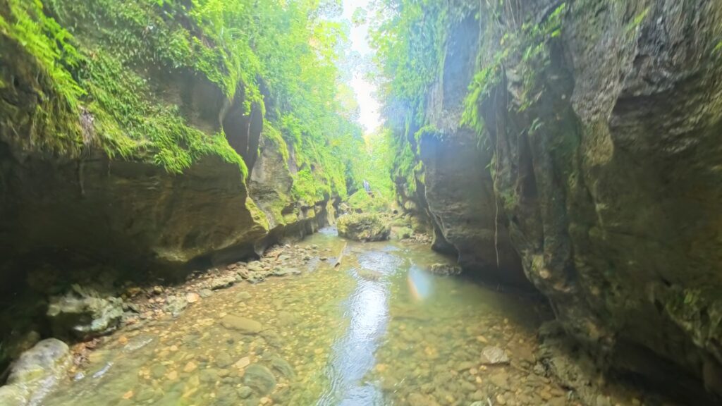 DCIMCamera03IMG_20250306_154650_00_336.ins