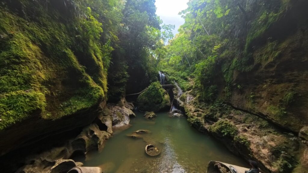 DCIMCamera03IMG_20250306_160727_00_340.ins